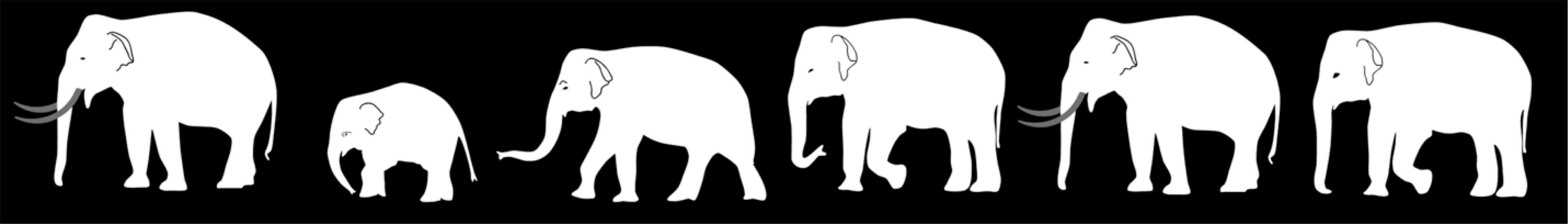 Solidarité avec les peuples d’un grand continent : Le STTP souligne le Mois du patrimoine asiatique et du patrimoine sud-asiatique