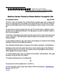 Medicine Garden Planted at Ottawa Mailbox Occupation Site