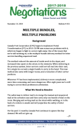 Multiple Bundles, Multiple Problems